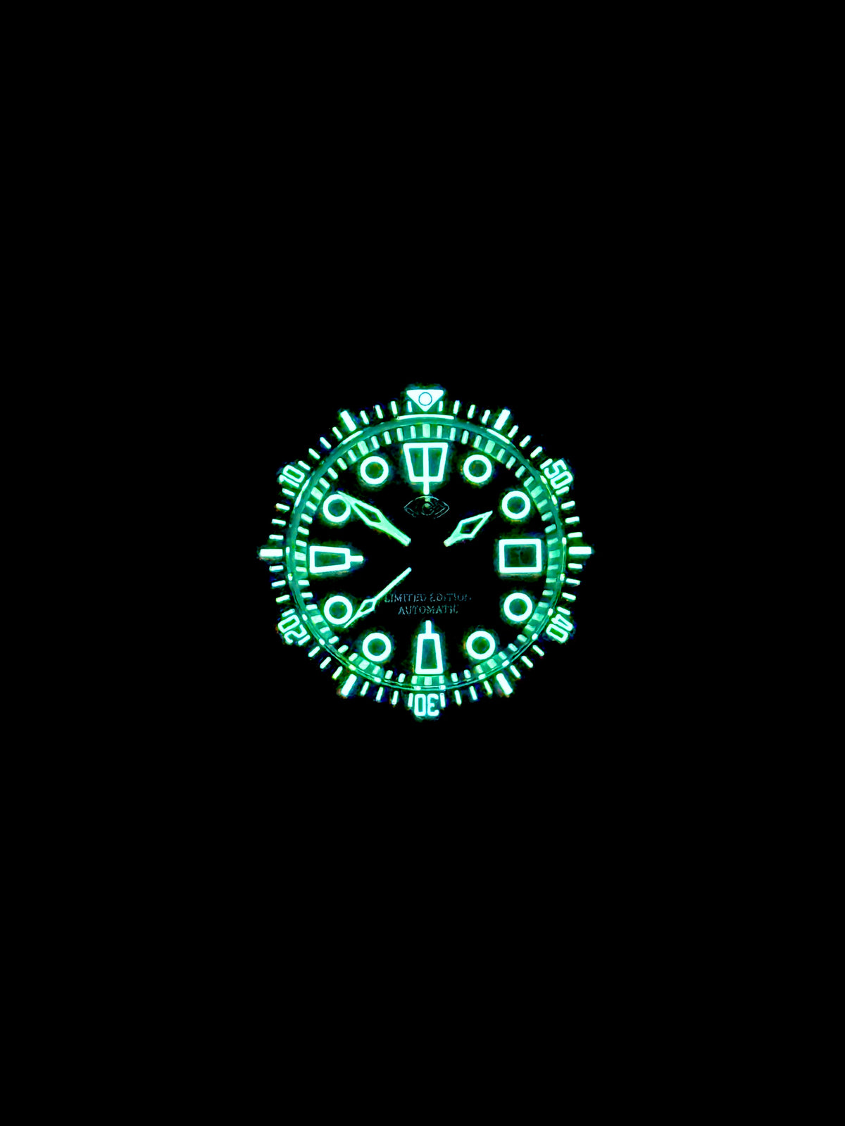 Sentinel Watch System 1979 – Sentinel Watch Company